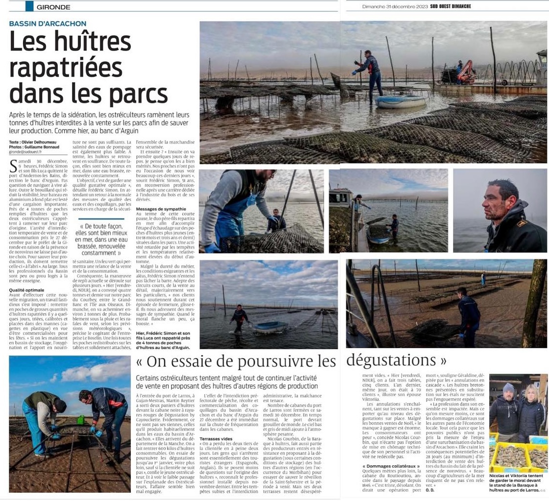 Producteur huîtres Andernos